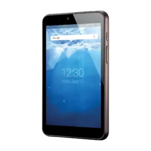 Bluebird RT080 Endüstriyel Android Tablet (8 inç FHD, 4G LTE, 4 GB / 64 GB)